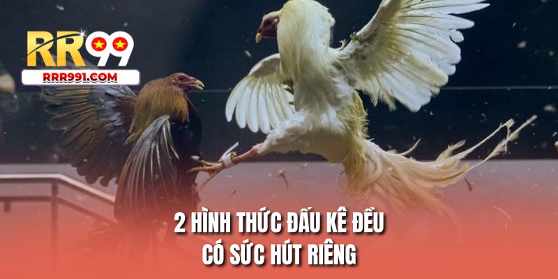2 hình thức đấu kê đều có sức hút riêng
