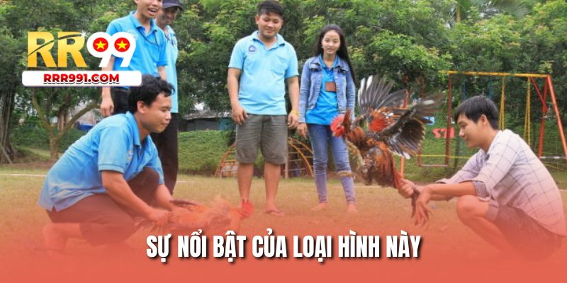 Sự nổi bật của loại hình này