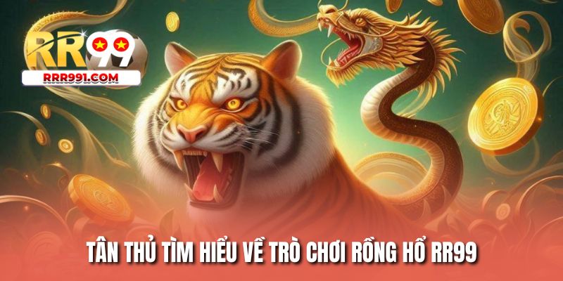 Tân thủ tìm hiểu về trò chơi rồng hổ RR99